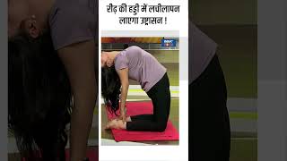 Yoga For Spine रीढ़ की हड्डी में लचीलापन लाएगा उष्ट्रासन  shorts indiatvyoga yogaposes [upl. by Fulks]