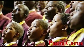 Boys Choir of Harlem Niños Cantores Singing Boys [upl. by Ahsocin828]