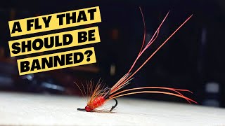 Tying a CONTROVERSIAL Salmon fly What do you think [upl. by Enitsenre937]