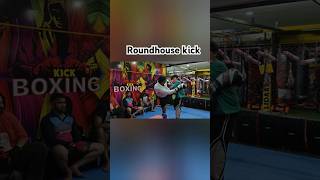 Roundhouse kick shorts knockout kickboxing roundhousekick mma thaiboxing [upl. by Keemahs]