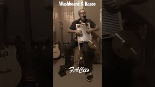 FACtto  Washboard amp Kazoo DIY diy shorts washboard kazoo [upl. by Mona]