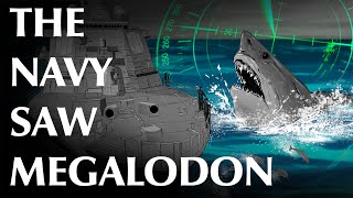 USN Petty Officer and Others Report Megalodon Sightings [upl. by Tenahs644]