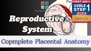 Placental Structure in HINDIURDUEmbryology part 3USMLE step 1FCPS1umbilicalcord [upl. by Ahsino529]