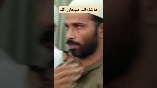 Misri Qari Tilawat 😍🤲quran shorts shortsfeed shortsviral shortvideo short love ayyoubichanel [upl. by Nollahp]