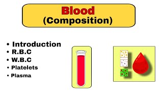 Blood Anatomy and Physiology  Composition of the Blood  education science [upl. by Nozicka236]