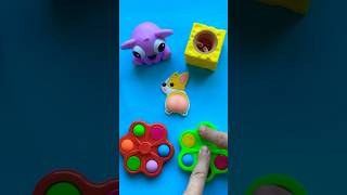 Great Squishy Corgi Work 🤩🤣😵‍💫 satisfying great squishy baby corgi funny shorts [upl. by Oninotna]