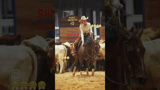 horse horselover horseriding ghoda trending trendingshorts trend viralvideo viralshort [upl. by Yznil153]