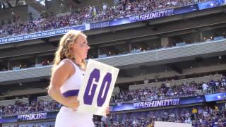 University of Washington 2015 UCA Nationals Crowd Highlight Video [upl. by Delmar805]