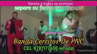 Banda Cerritos de Piedras Negras Coah para todos ustedes CEL 8781176500 [upl. by Kartis]