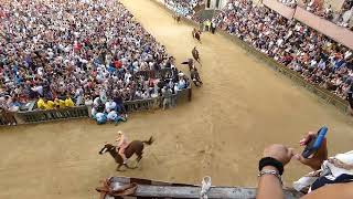 Palio di Siena 17 Agosto 2022 caduta quattro contrade [upl. by Alinna]