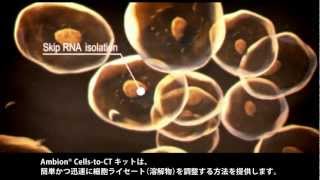 Ambion® CellstoCT™で短時間にリアルタイム定量PCRへ！ [upl. by Atul728]