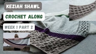 Keziah Shawl Crochet Along Week 1 Part 2 How to work Honeycomb cable [upl. by Wong754]