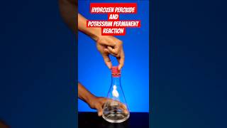 HYDROZEN PEROXIDE AND POTASSIUM PERMANENT COLL EXPERIMENTexperiment shorts shortsfeed [upl. by Leisam]