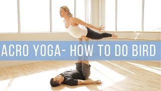 Beginner Acro Yoga How to Base and Fly Front Plank and Bird [upl. by Eecyac]