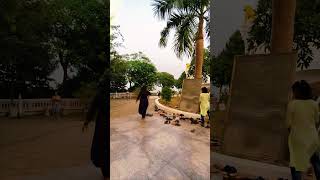 Dhauli giri Bhubaneswar Odisha 🤞dailyvlog travel incredibleindia dhauligiri vlogger trending [upl. by Eaves]