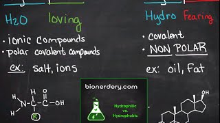 Hydrophilic vs Hydrophobic [upl. by Mellette]