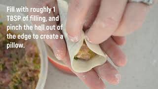 Pork Dumplings by Poh  Clems Recipe Reviews [upl. by Yerffe]