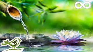 Soothing Relaxation Relaxing Piano Music amp Water Sounds for Sleep Meditation Spa amp Yoga [upl. by Milks431]