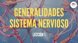 1 GENERALIDADES SISTEMA NERVIOSO FISIOLOGÍA DEL SISTEMA NERVIOSO [upl. by Jeffers]