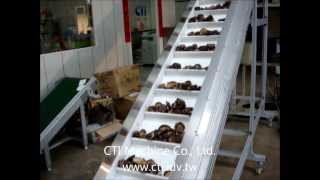 Semi Auto Packaging Machine P115EV for Mushroom香菇包裝機 [upl. by Ekrub]