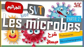 SVT❤ LES MICROBES PARTIE 2❤ MICROCHAMPIGNONS ET PROTOZOAIRES [upl. by Lombardi]