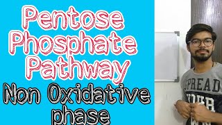 Pentose Phosphate Pathway  PPP  Non Oxidative phase [upl. by Antrim335]