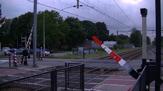 Spoorwegovergang DriebergenZeist  Dutch railroad crossing [upl. by Levon680]