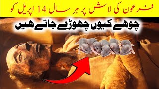 SCIENTIFIC RESEARCH ON FIRON  Hazrat Musa As Ka Waqia  Stories  Guzra Hoa Kal [upl. by Lundeen]