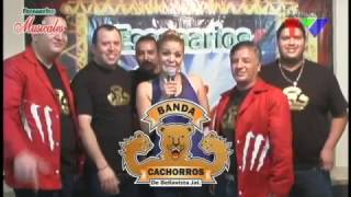 Entrevista banda Cachorros 2016 [upl. by Odrude]