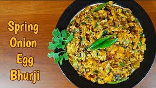 Spring Onion Egg Bhurji  Egg Bhurji with Spring onions [upl. by Corine]