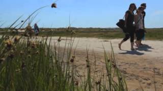 Landal GreenParks  Video Watteninsel Schiermonnikoog Niederlande [upl. by Nuarb]