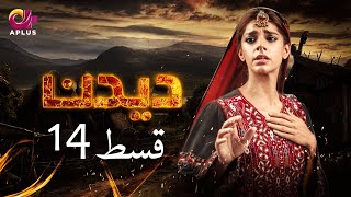 Deedan  Episode 14  Aplus Dramas  Sanam Saeed Mohib Mirza Ajab Rasheed  Pakistani Drama [upl. by Yahs653]