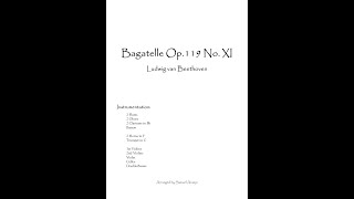 Beethoven Bagatelles Op 119 No11 for Orchestra Sheet music [upl. by Lyrad97]