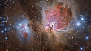 The Great Orion Nebula and the Horsehead [upl. by Virge]