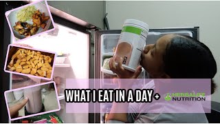 WHAT I EAT IN A DAY  HERBALIFE  Losing 30lbs [upl. by Ares]