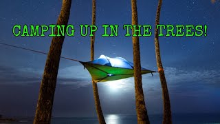 Tentsile Stingray Our First Tree Tent Camping Experience [upl. by Patin]