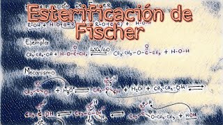 Esterificación de Fischer [upl. by Yellah]