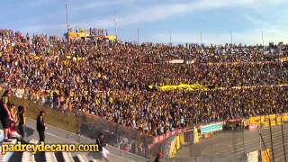 Canción Peñarol quotYo igual te sigo no importa a dondequot [upl. by Roach]