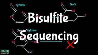 Bisulfite Sequencing  Whole Genome Bisulfite Sequencing  WGBS  BiSeq  DNA Methylation Detection [upl. by Ingham]