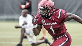 South Carolina WR Deebo Samuel 2018 Highlights [upl. by Ydahs]