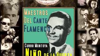 El Niño de la Huerta  Y Viva Lora del Rio Díle Que Yo No la Olvido Fandangos Flamenco Masters [upl. by Aivirt674]