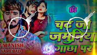 चढ़ जो जमुनिया गाछा पर। Aashish Yadavı Dj Song I Chadh jo jamuniya gachha pari Dj [upl. by Niro]