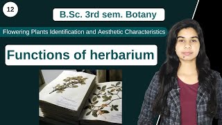 Functions of herbarium  B Sc 3rd sem Botany [upl. by Rihana702]