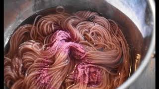 Magic with Brazilwood Natural dyeing [upl. by Akirre]