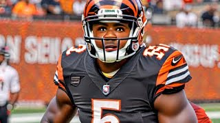 Bengals WR Tee Higgins Rejects Franchise Tag Will Skip OTAs [upl. by Tomasina]