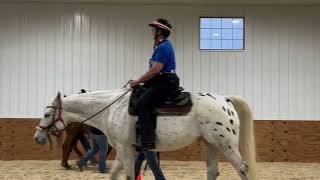 Hippotherapy Client Presentation [upl. by Stanly256]