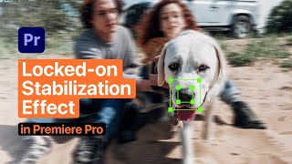 How to create Lockedon Stabilization Effect Premiere Pro  Tutorial [upl. by Yaja]