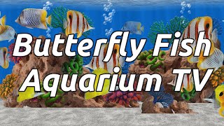 Butterfly Fish Aquarium TV 4k Saltwater Reef Tank Android App [upl. by Googins866]