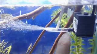 Como oxigenar mi acuario con efecto venturi  how to oxygenate my aquarium with venturi effect [upl. by Sido]