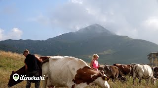 ITINERARI DA ARTAVAGGIO AL GHERARDIDAVIDE E VALERY LA NUOVA VITA DA RIFUGISTI AL CAZZANIGA MERLINI [upl. by Margi594]